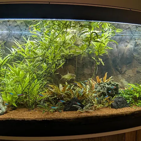 Appartement Erlengrund